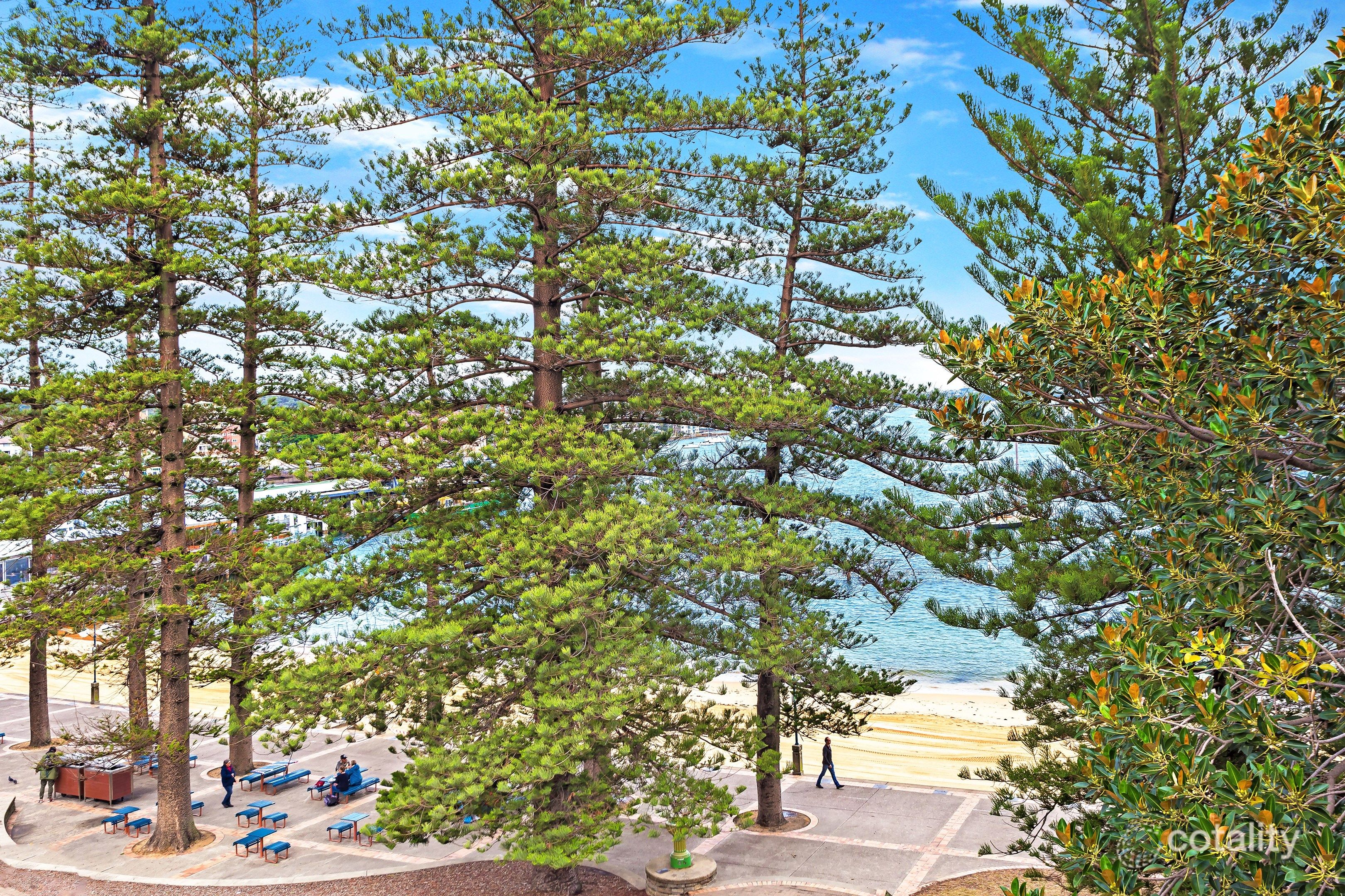 11/75-76 West Esp, Manly, NSW 2095