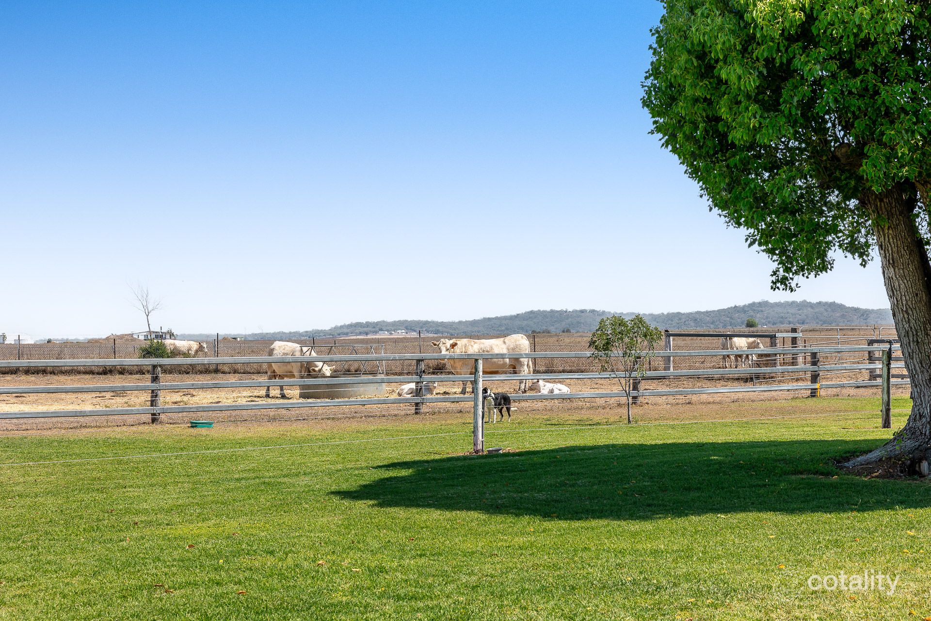 253 Gillam Rd, Nobby, QLD 4360