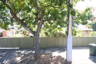 130b Winston Ave, Melrose Park, SA 5039