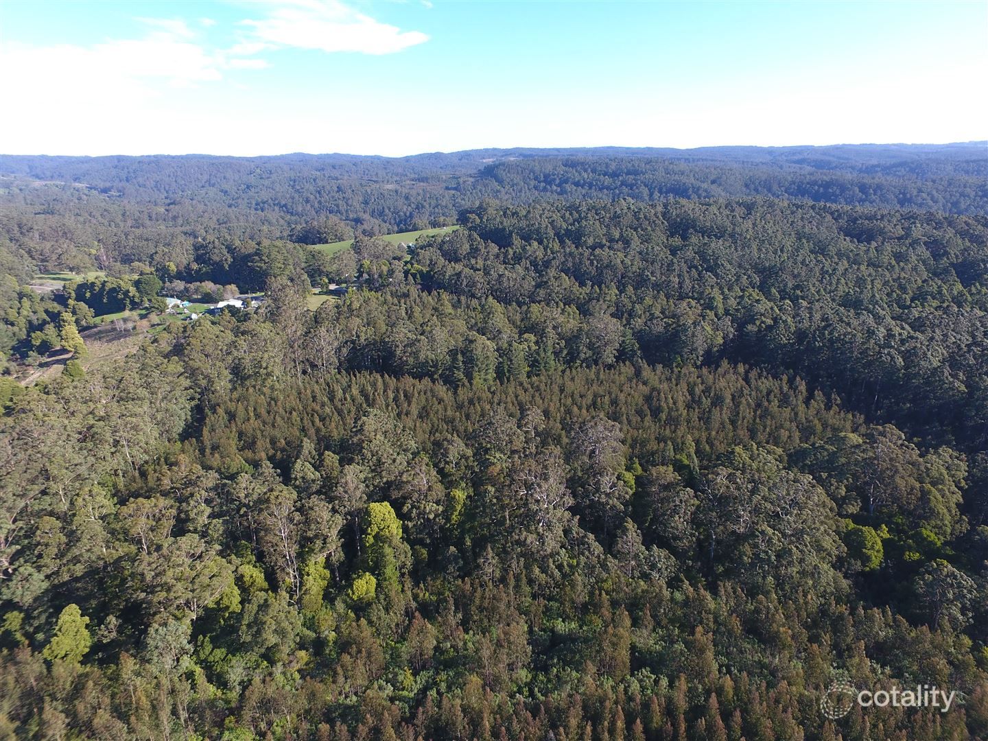 480 Forrest-Apollo Bay Rd, Forrest, VIC 3236