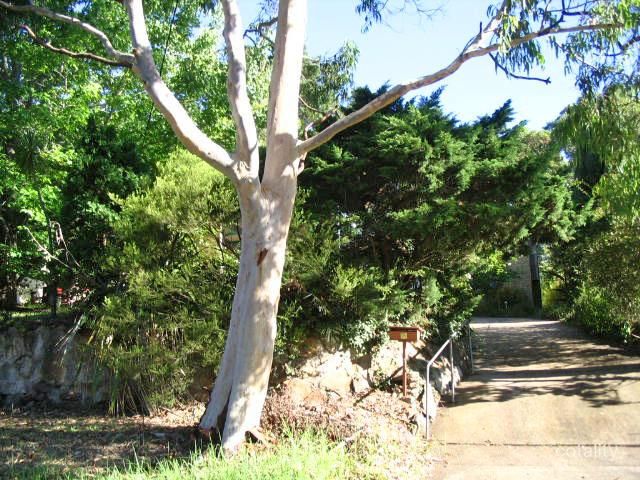 40 Chaseling Ave, Springwood, NSW 2777