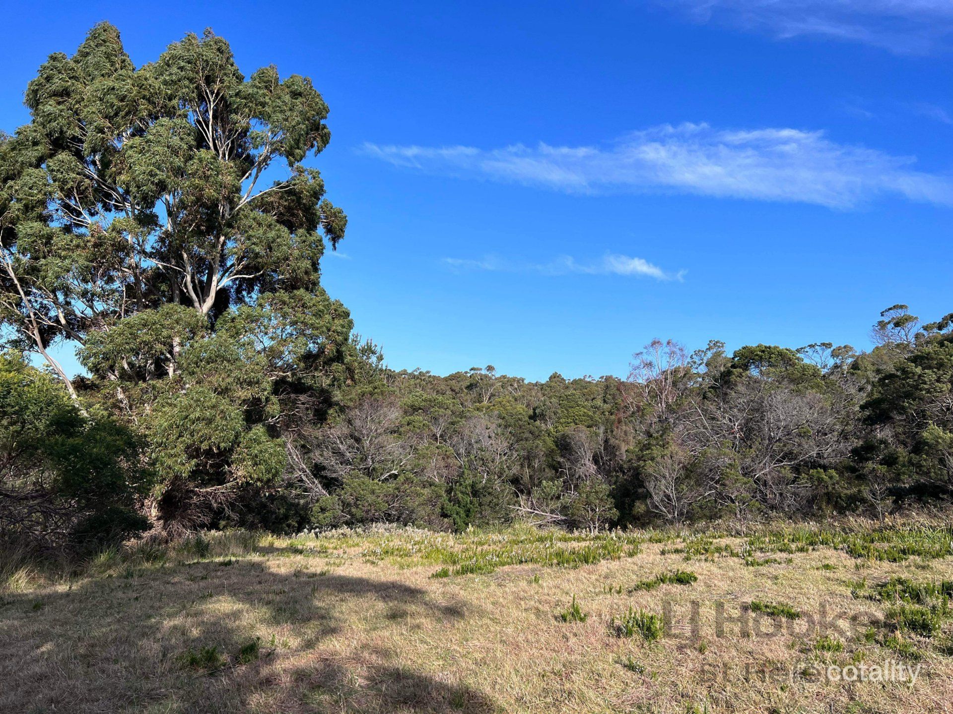 2 Oceanvista Dr, St Helens, TAS 7216