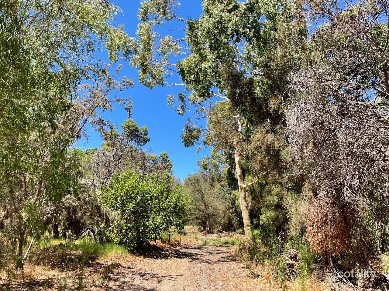 55 Old Pinjarra Rd, Greenfields, WA 6210