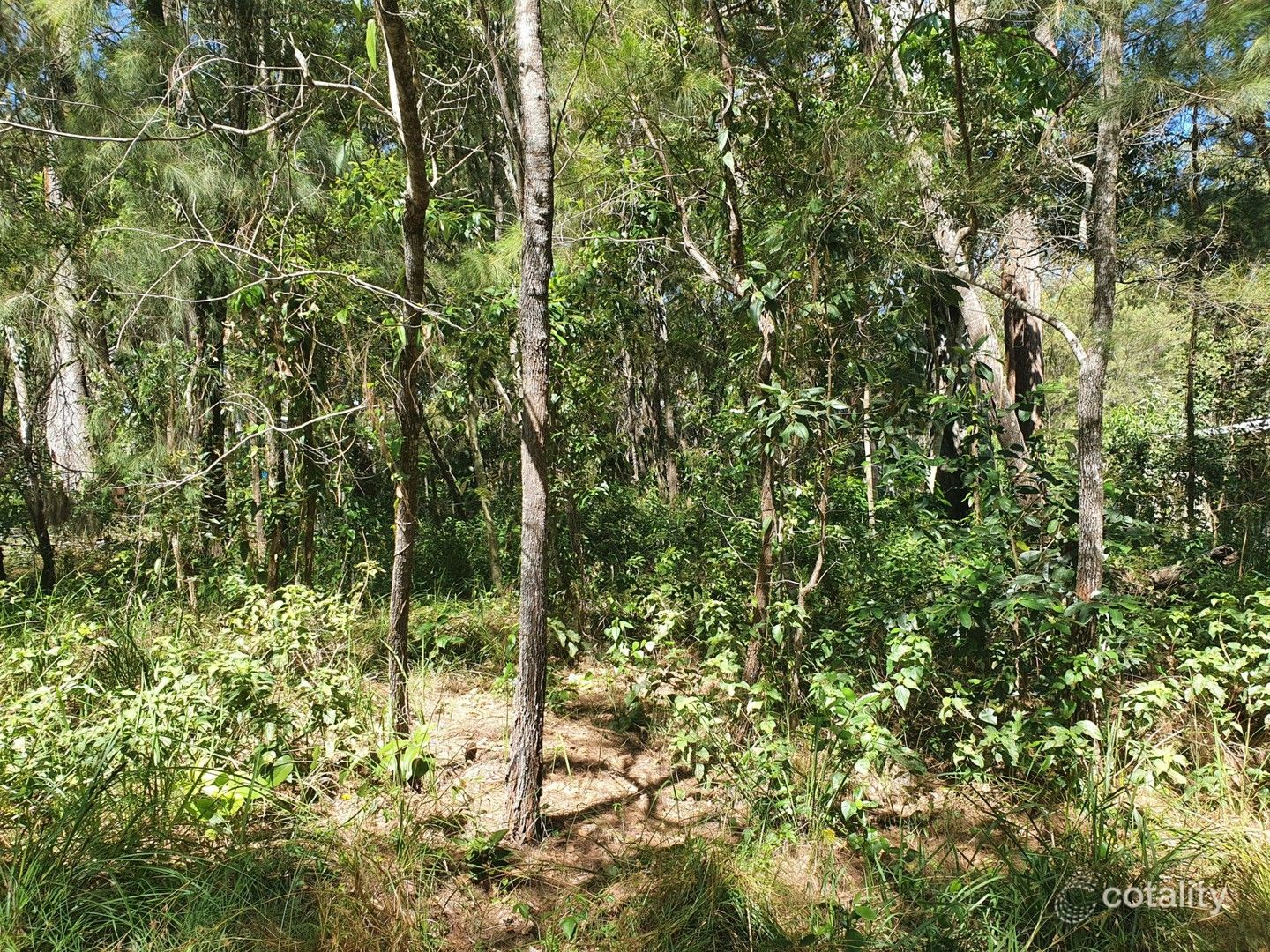 6 President Tce, Macleay Island, QLD 4184