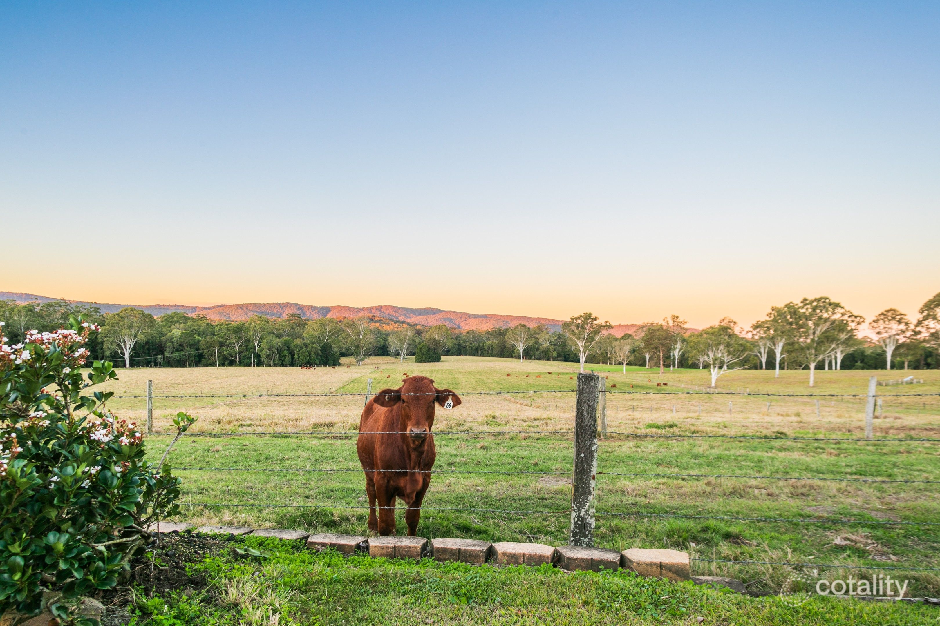 179 Tandur Traveston Rd, Traveston, QLD 4570