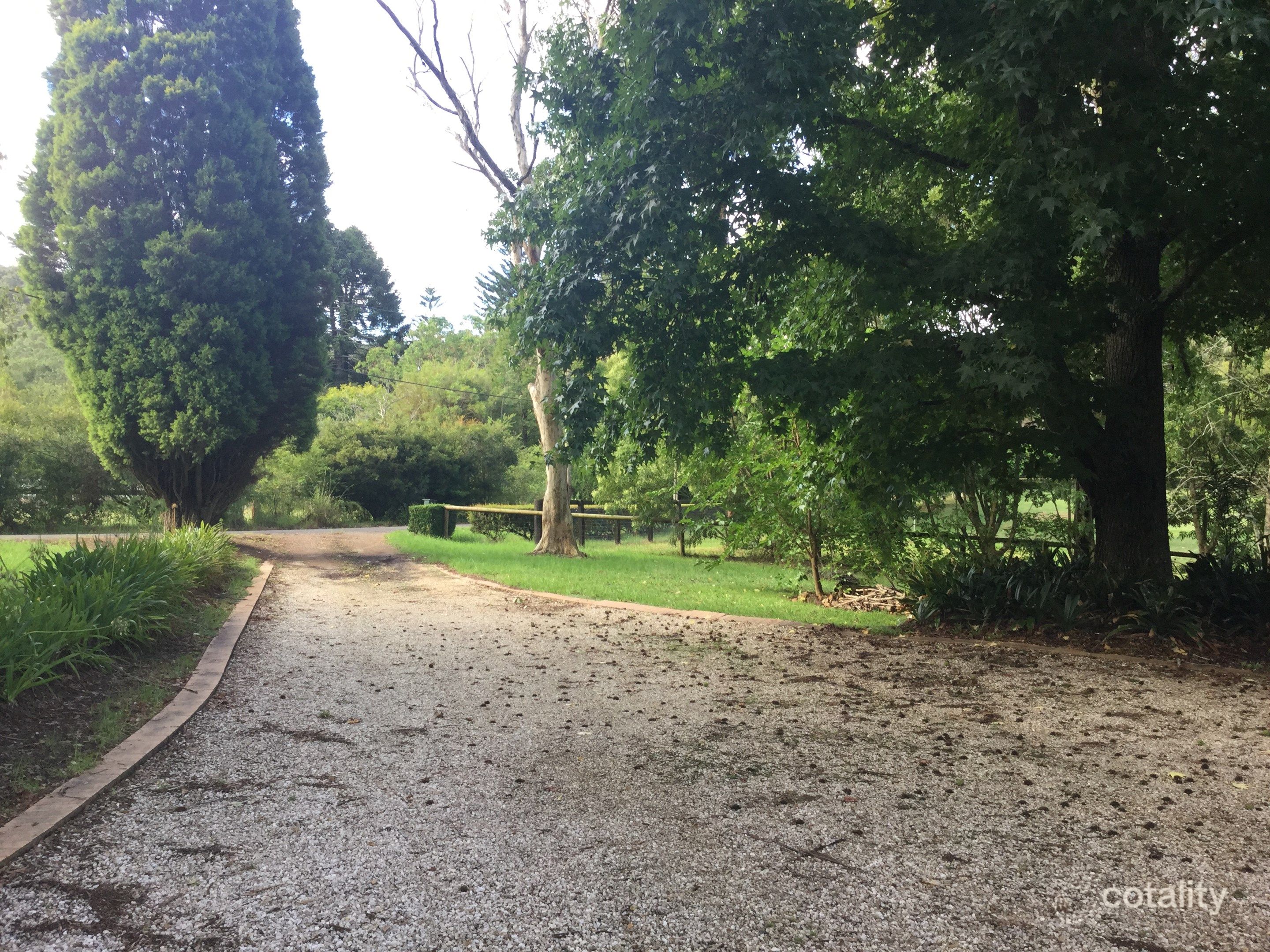 20 Fern Tree Lane, Palmdale, NSW 2258