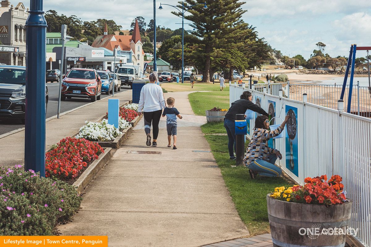 64 South Rd, Penguin, TAS 7316