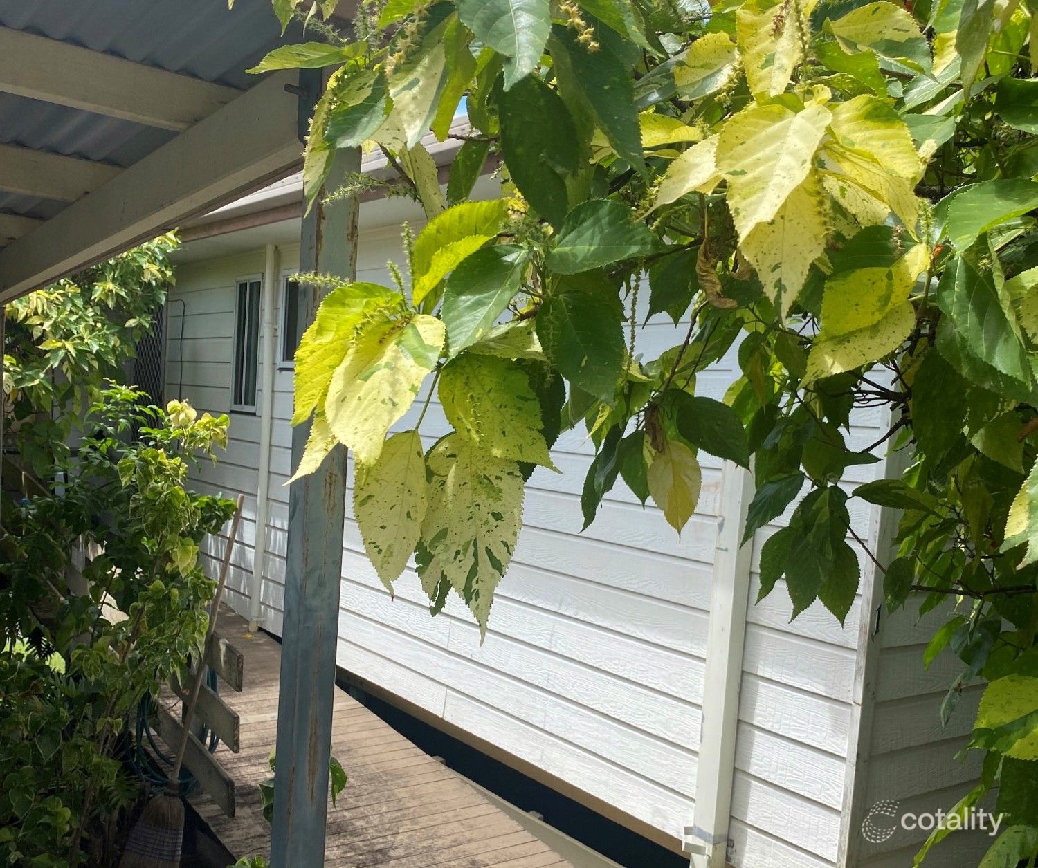 1 Maple Cl, Stapylton, QLD 4207