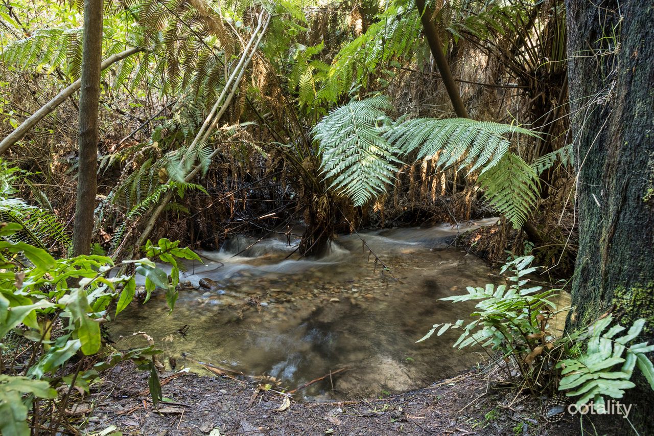 30 Kings Rd, Marysville, VIC 3779