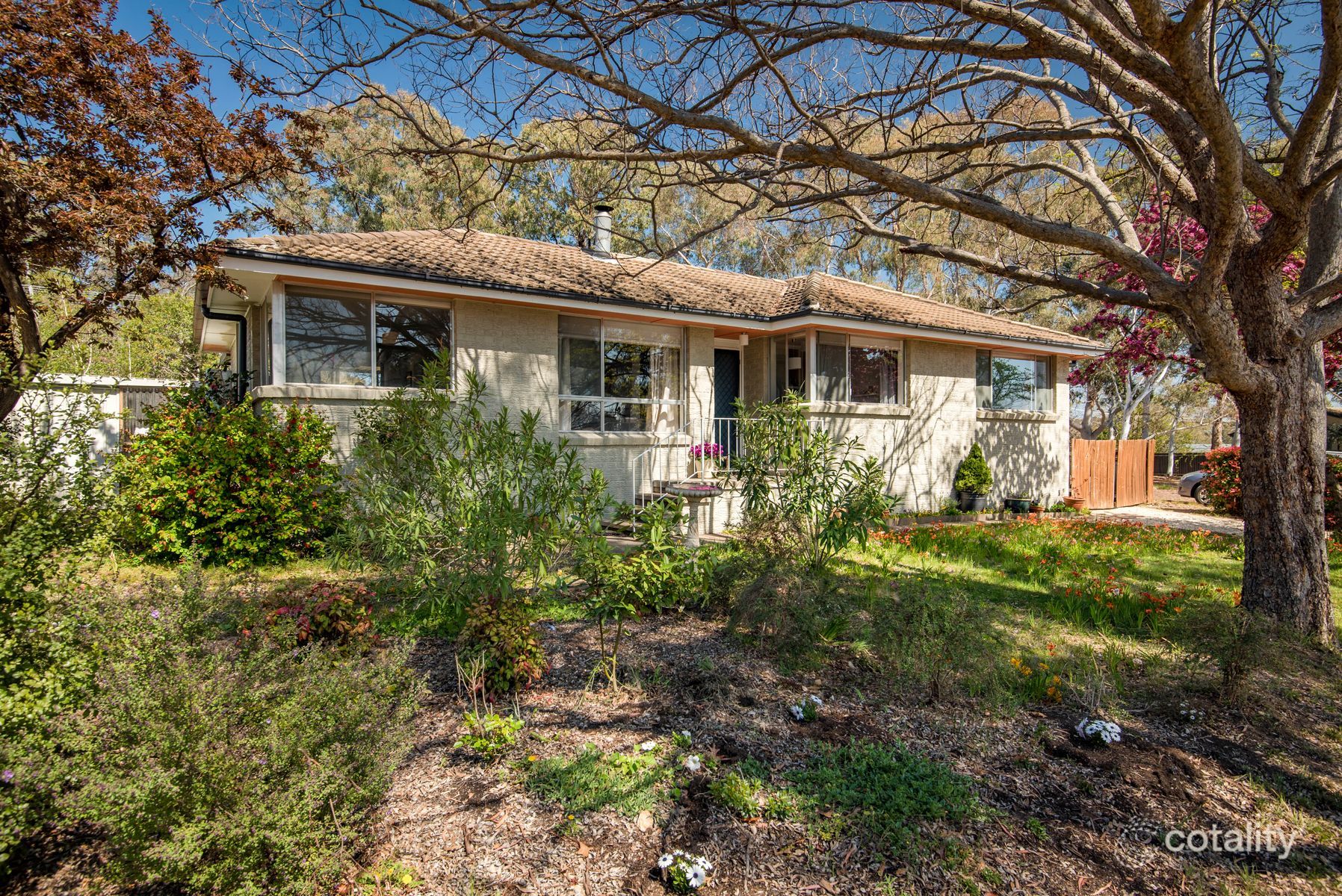 50 Lyttleton Cres, Cook, ACT 2614