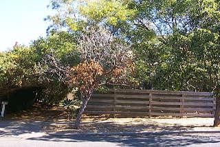 11 Saladin St, Swanbourne, WA 6010