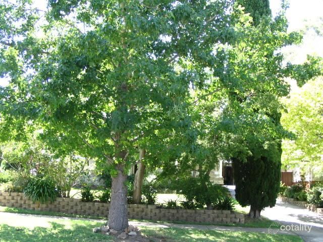 16 Beresford Rd, Thornleigh, NSW 2120