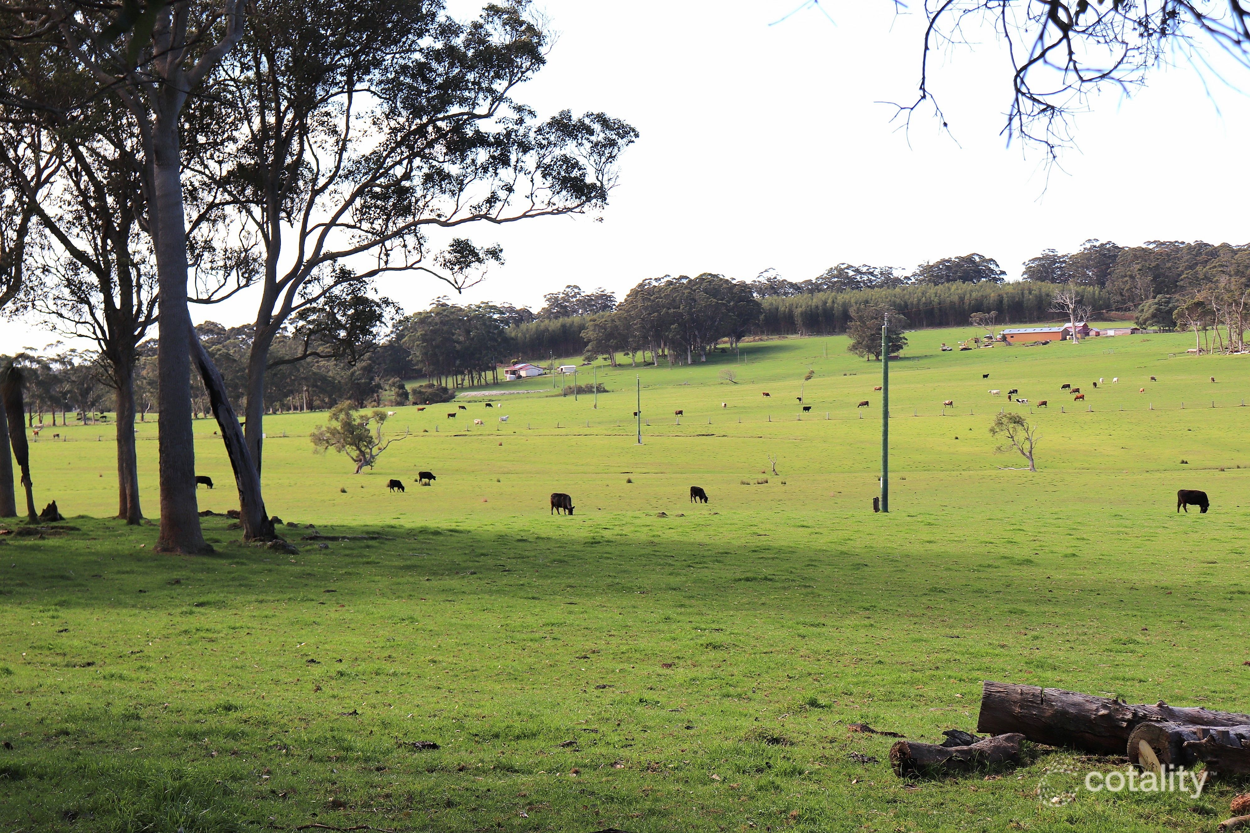 Hazelvale Rd, Hazelvale, WA 6333