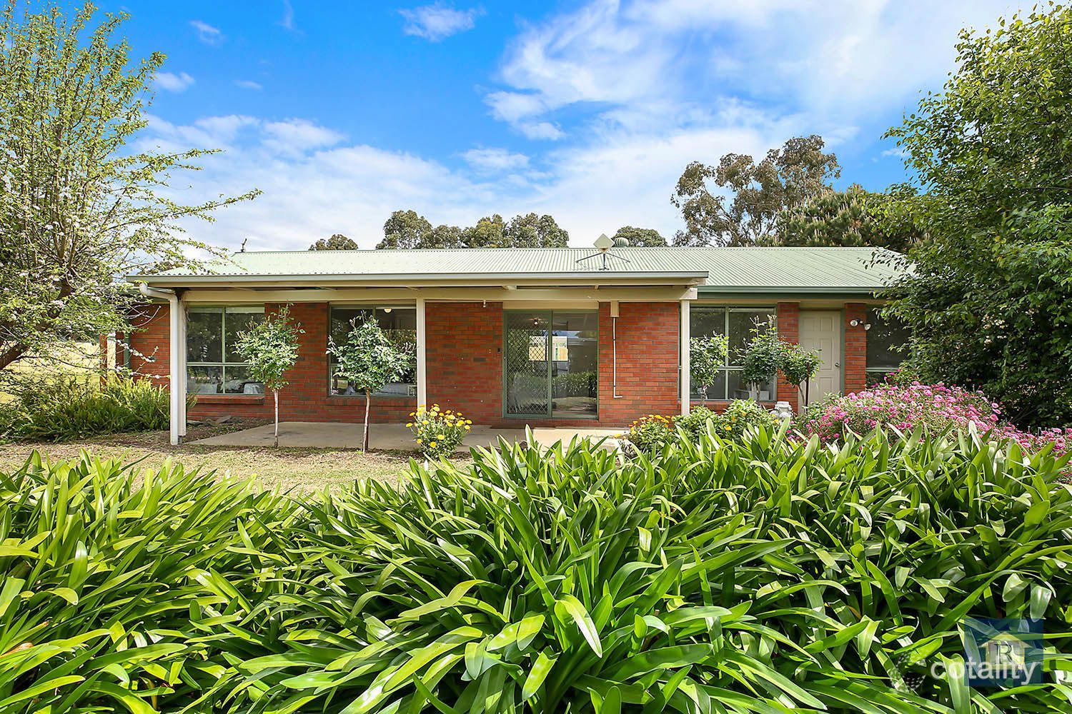 23 Hopkins St, Winchelsea, VIC 3241