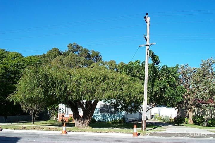 104 Walpole St, Bentley, WA 6102