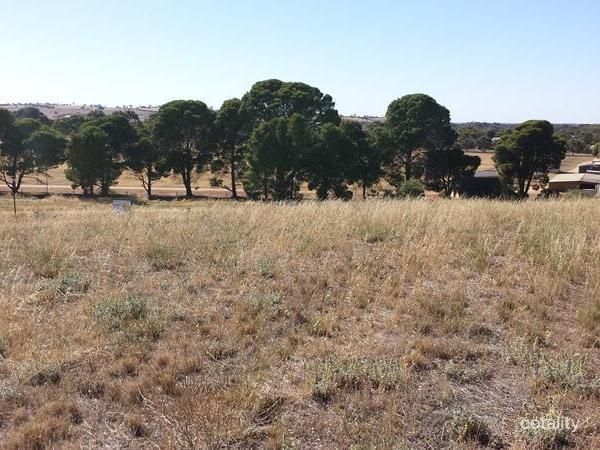 55 Bateman St, Strathalbyn, SA 5255