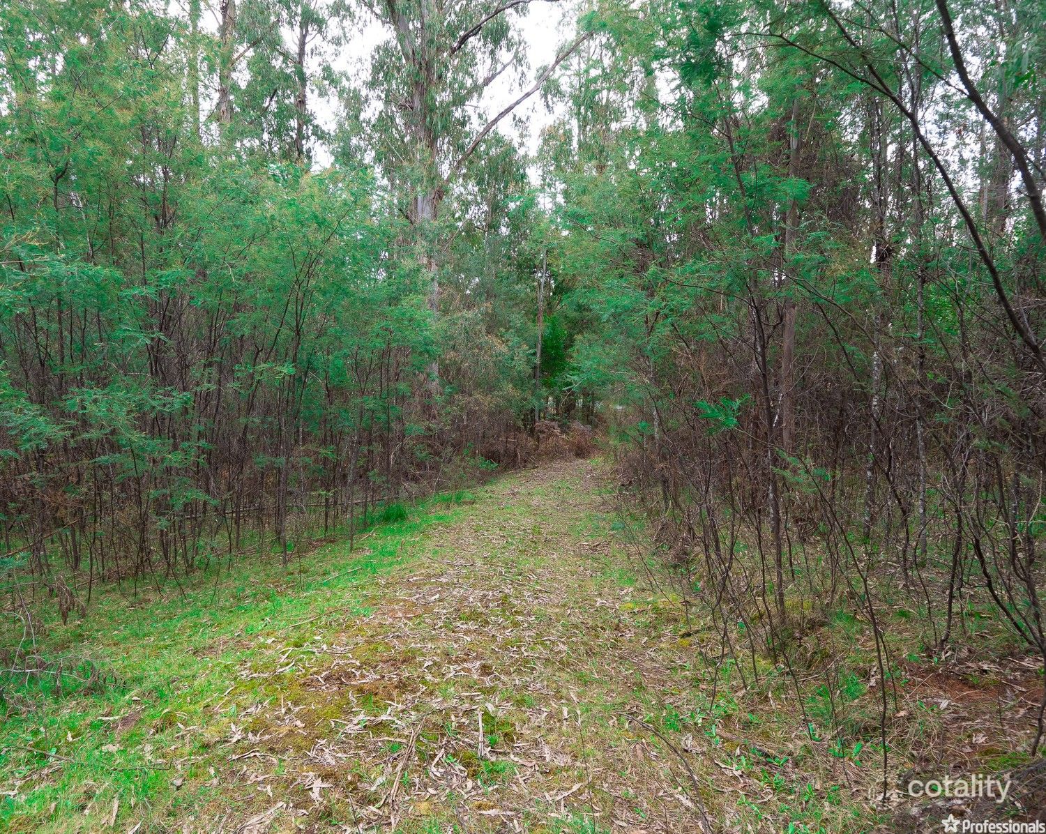 1232 Maroondah Hwy, Narbethong, VIC 3778