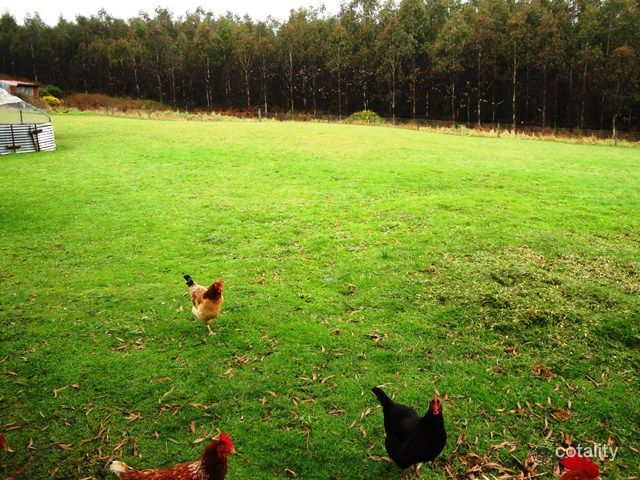 2171 Ridgley Hwy, Hampshire, TAS 7321