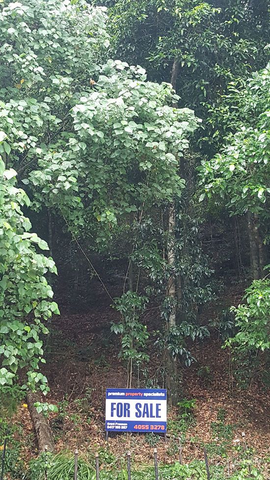 11l Cyathea Cl, Kamerunga, QLD 4870