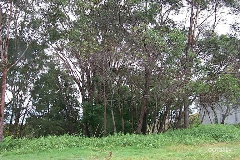 55 Rainbow Cres, Dunwich, QLD 4183