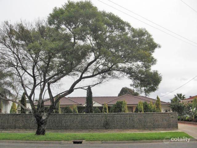 41 Mitton Ave, Henley Beach, SA 5022