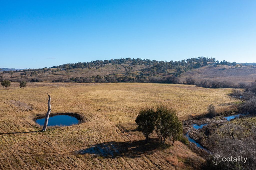 49 Inces Rd, Armidale, NSW 2350