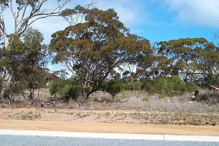 6 Dunn St, Ravensthorpe, WA 6346