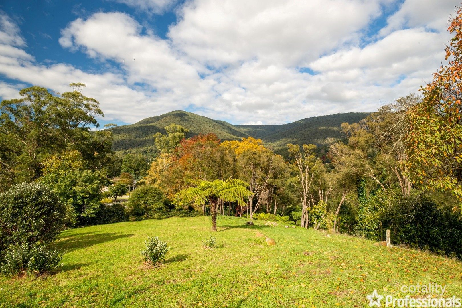 8 Grant St, Warburton, VIC 3799