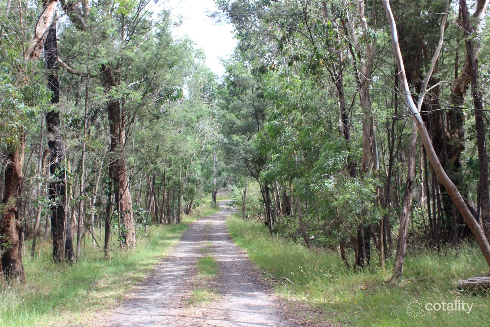 25 Mossman Lane, Taggerty, VIC 3714