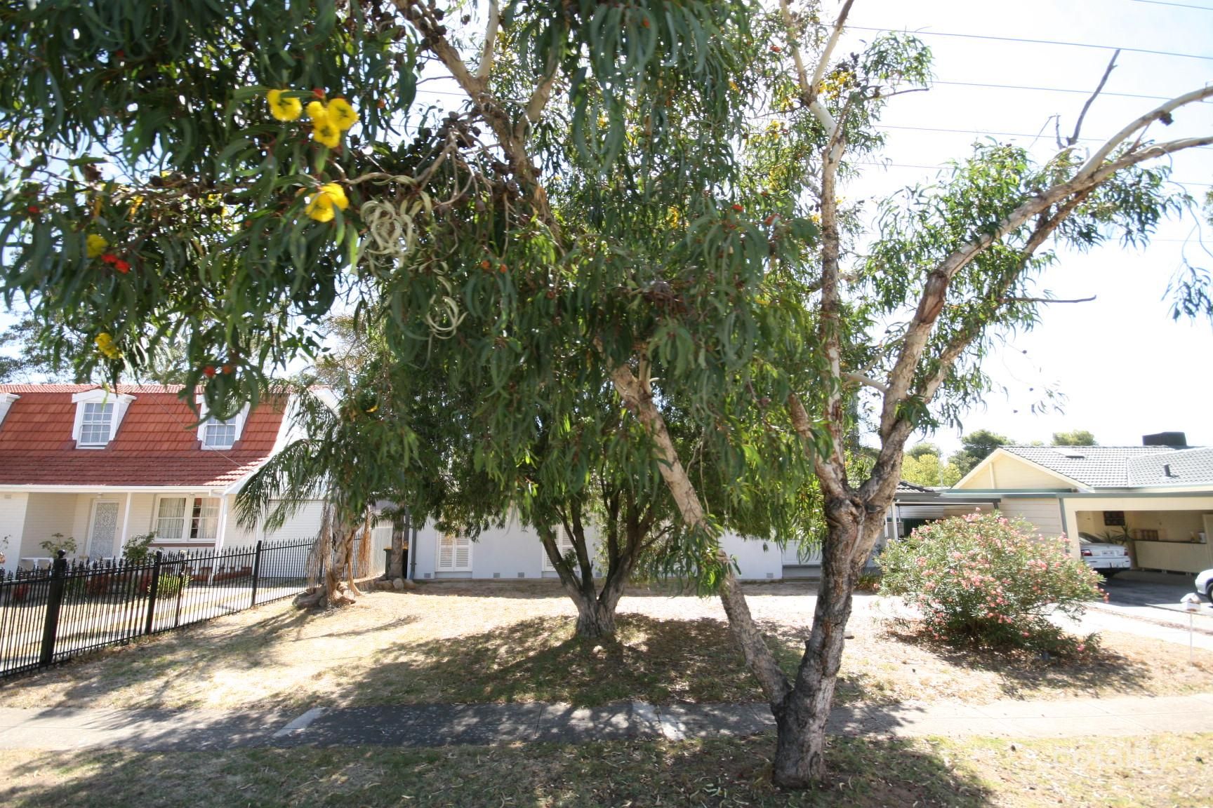 34 Sunningdale Ave, Novar Gardens, SA 5040