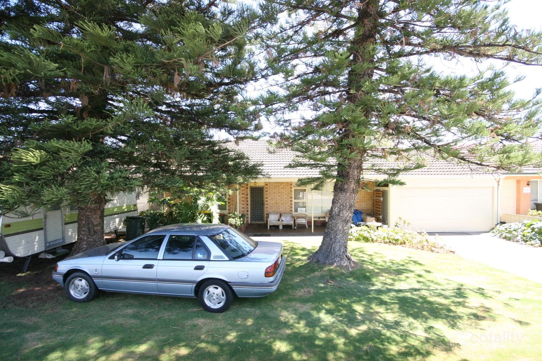 11 Collett Ave, Netley, SA 5037