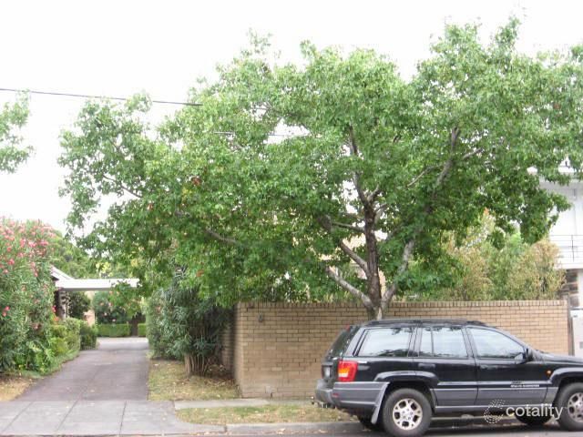 1/9 Hopetoun Rd, Toorak, VIC 3142