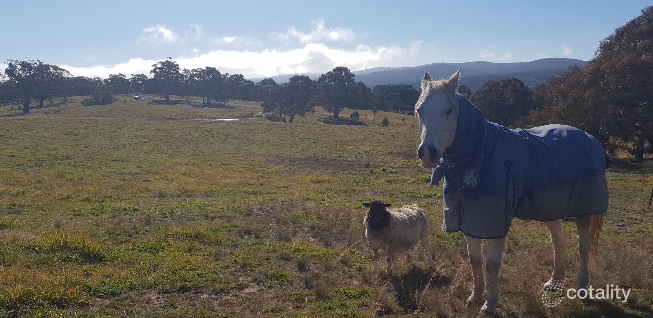 1181 Bungendore Rd, Bywong, NSW 2621