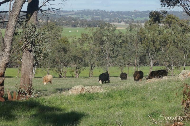 183 Mandiakon Rd, Dale, WA 6304