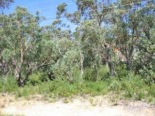114 Sublime Point Rd, Leura, NSW 2780
