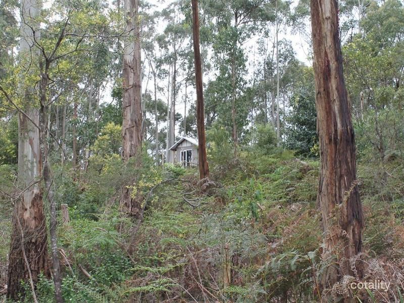 3384 Lavers Hill-Cobden Rd, Kennedys Creek, VIC 3239