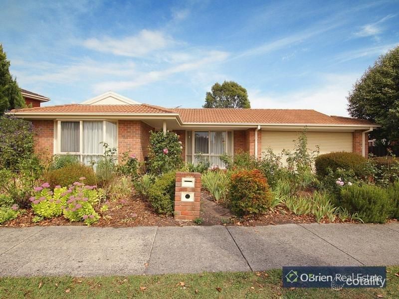 101 Saffron Dr, Narre Warren, VIC 3805