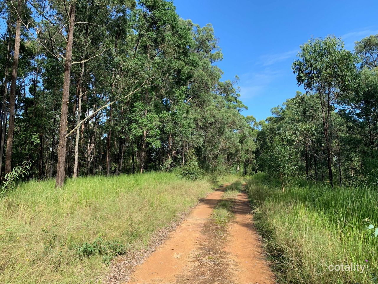 6a Wilsons Lane, Hickeys Creek, NSW 2440