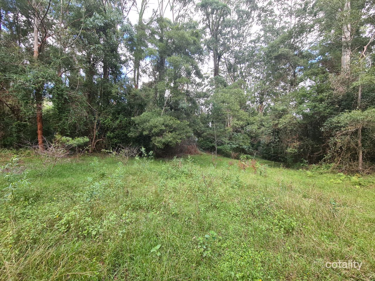 555 National Park Rd, Palmtree, QLD 4352