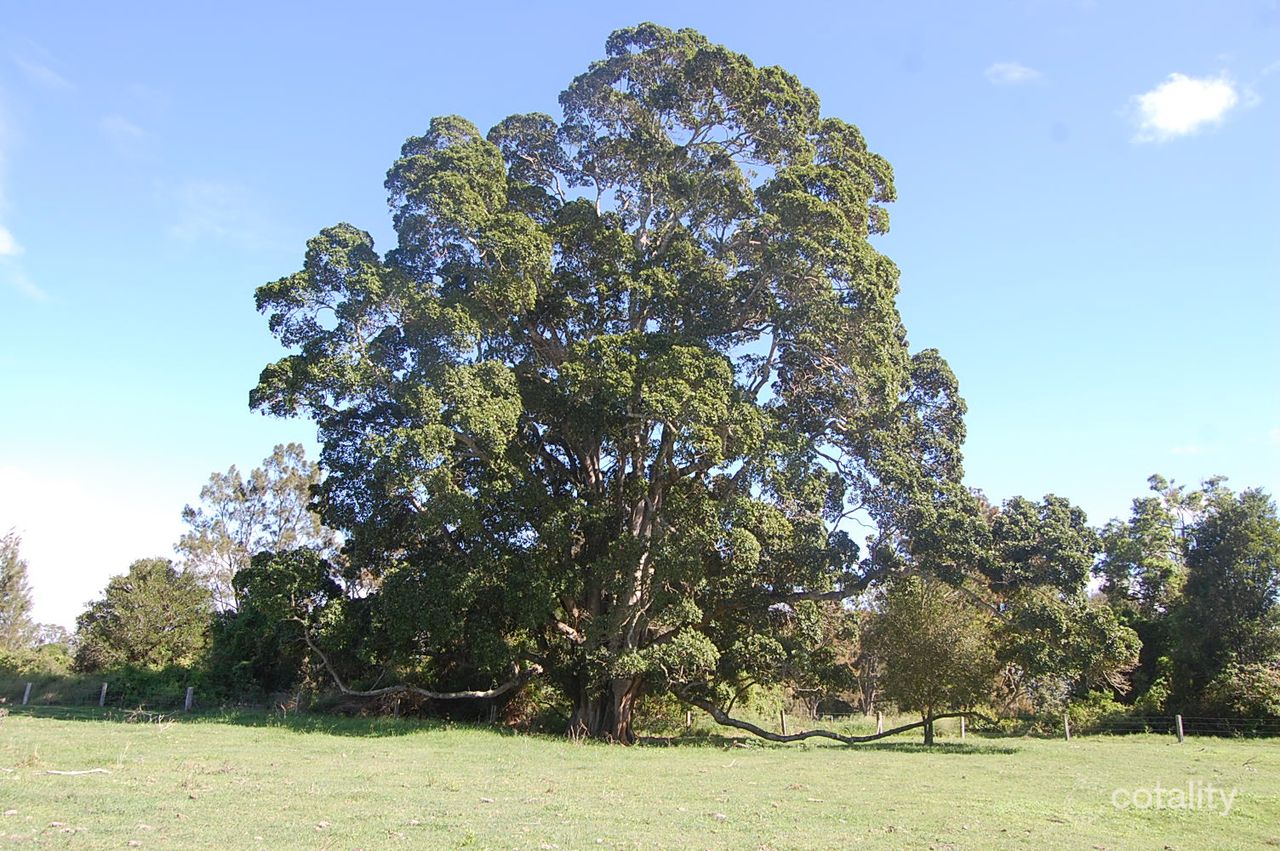 146 Mcmullens Bridge Rd, Leeville, NSW 2470