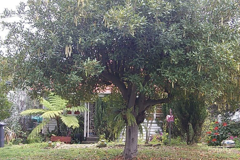 23 Laurel Ave, Wilston, QLD 4051