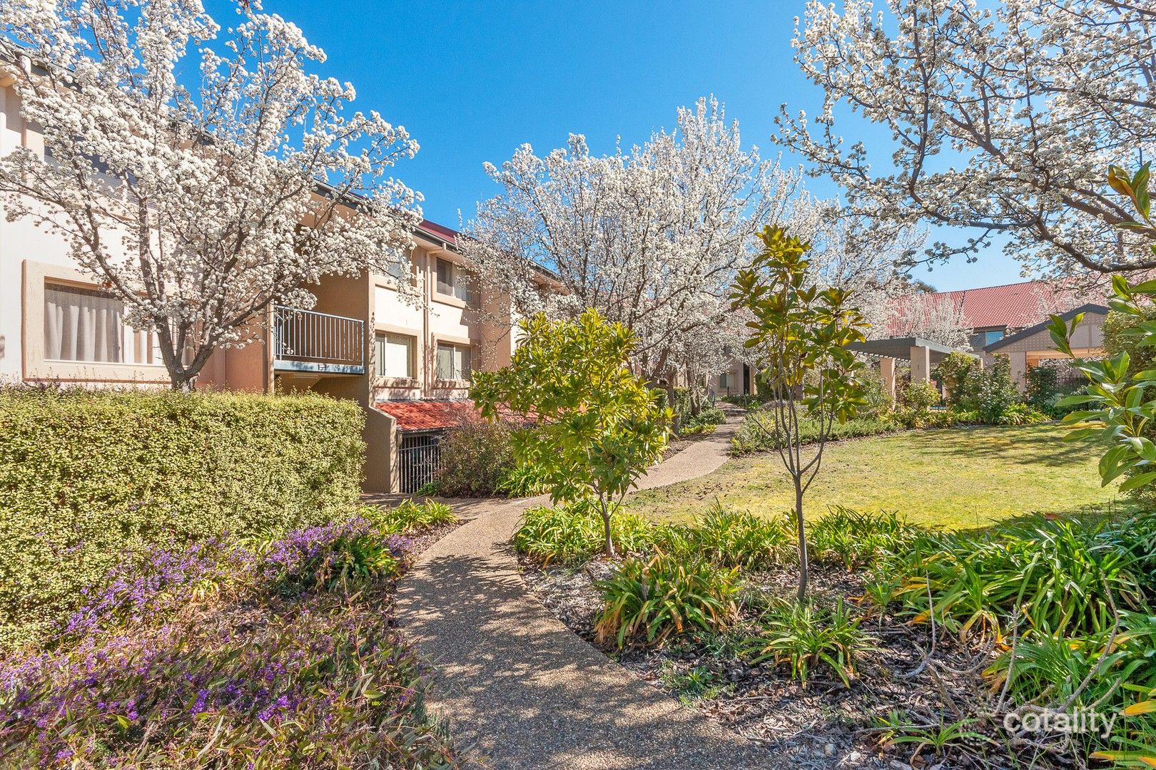 36/34 Leahy Cl, Narrabundah, ACT 2604