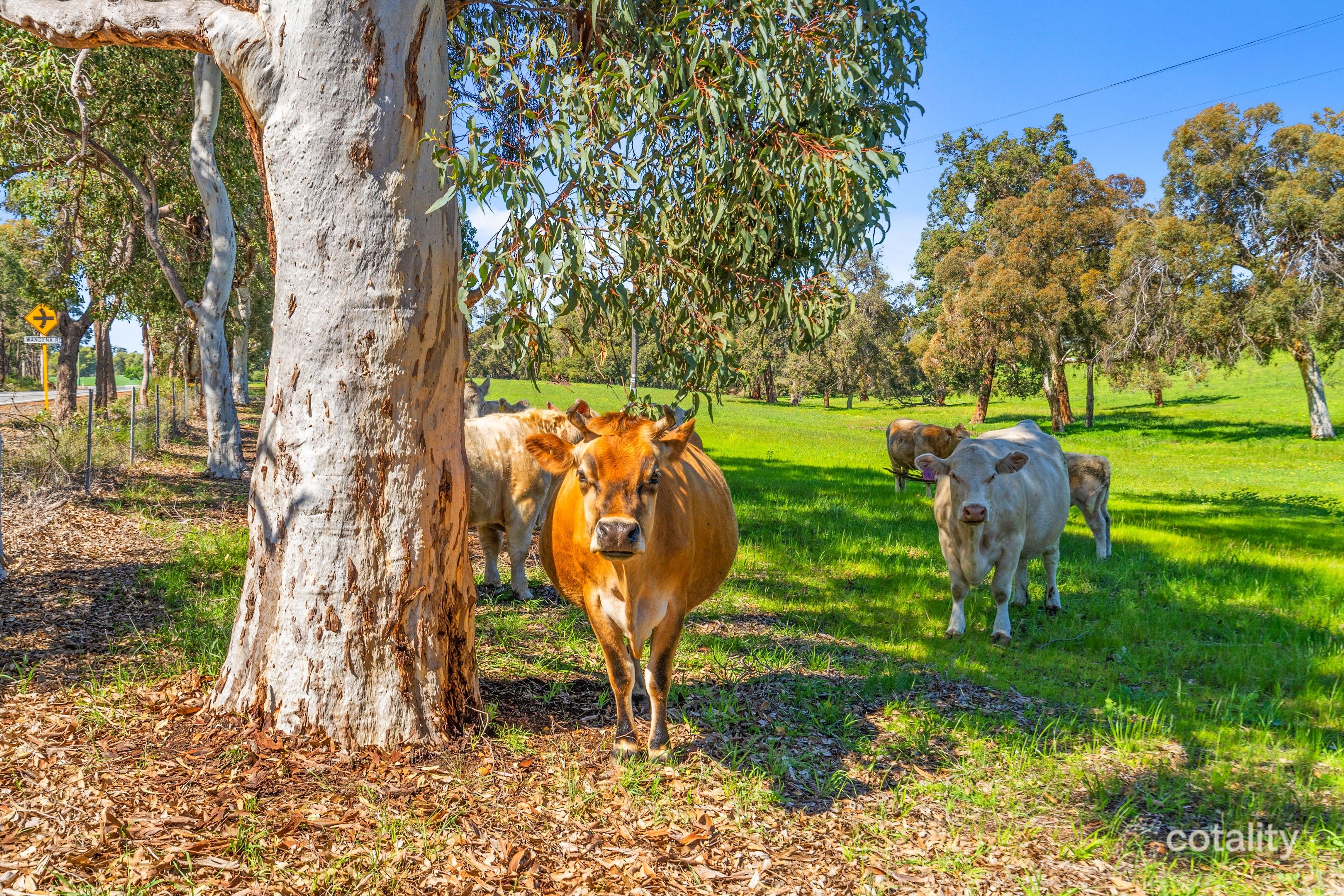 240 Muchea East Rd, Muchea, WA 6501