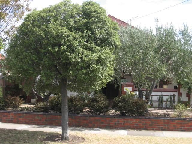 9 Burgess St, Bentleigh, VIC 3204