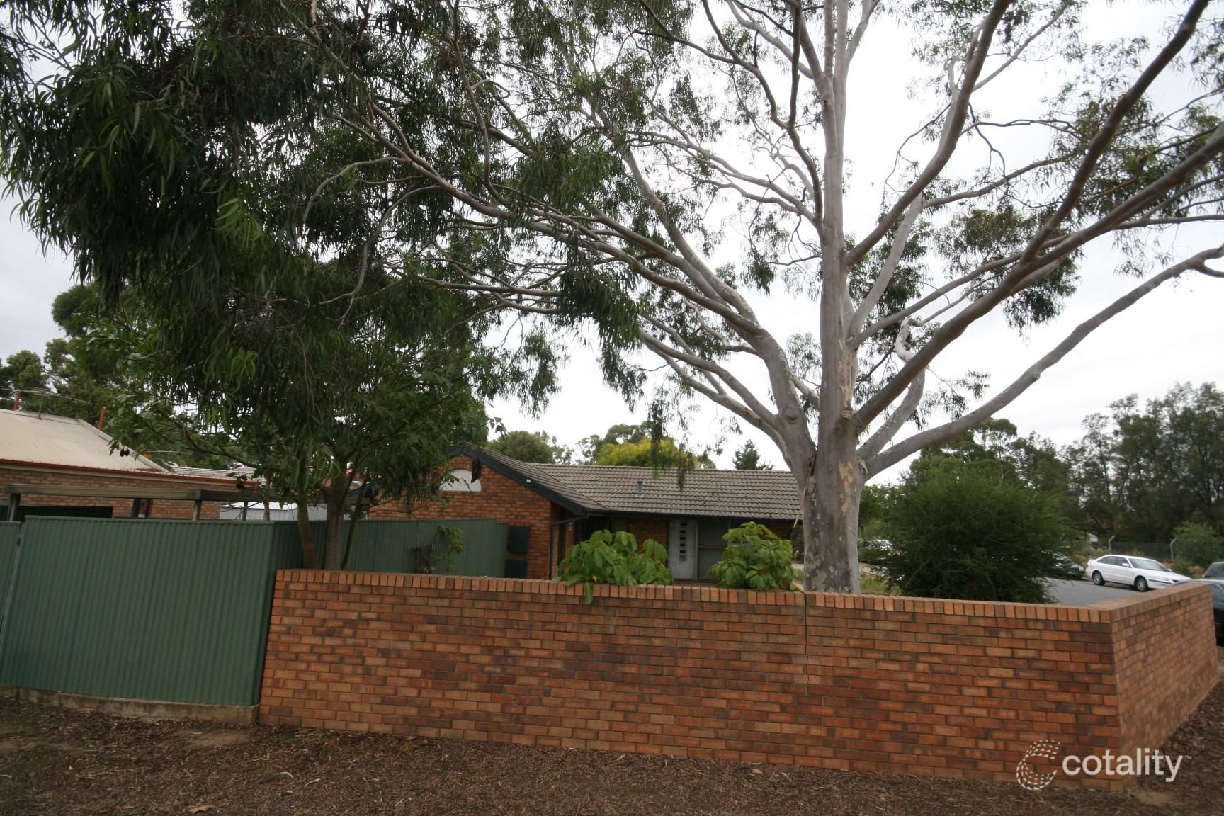 11 Ashman Ave, Renown Park, SA 5008