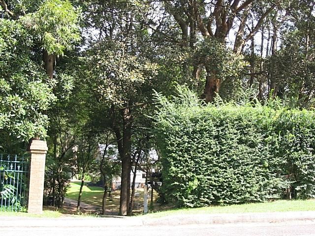 62 Addison Rd, New Lambton, NSW 2305