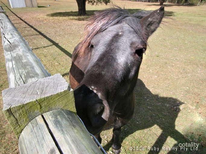 665-685 Stockleigh Rd, Stockleigh, QLD 4280