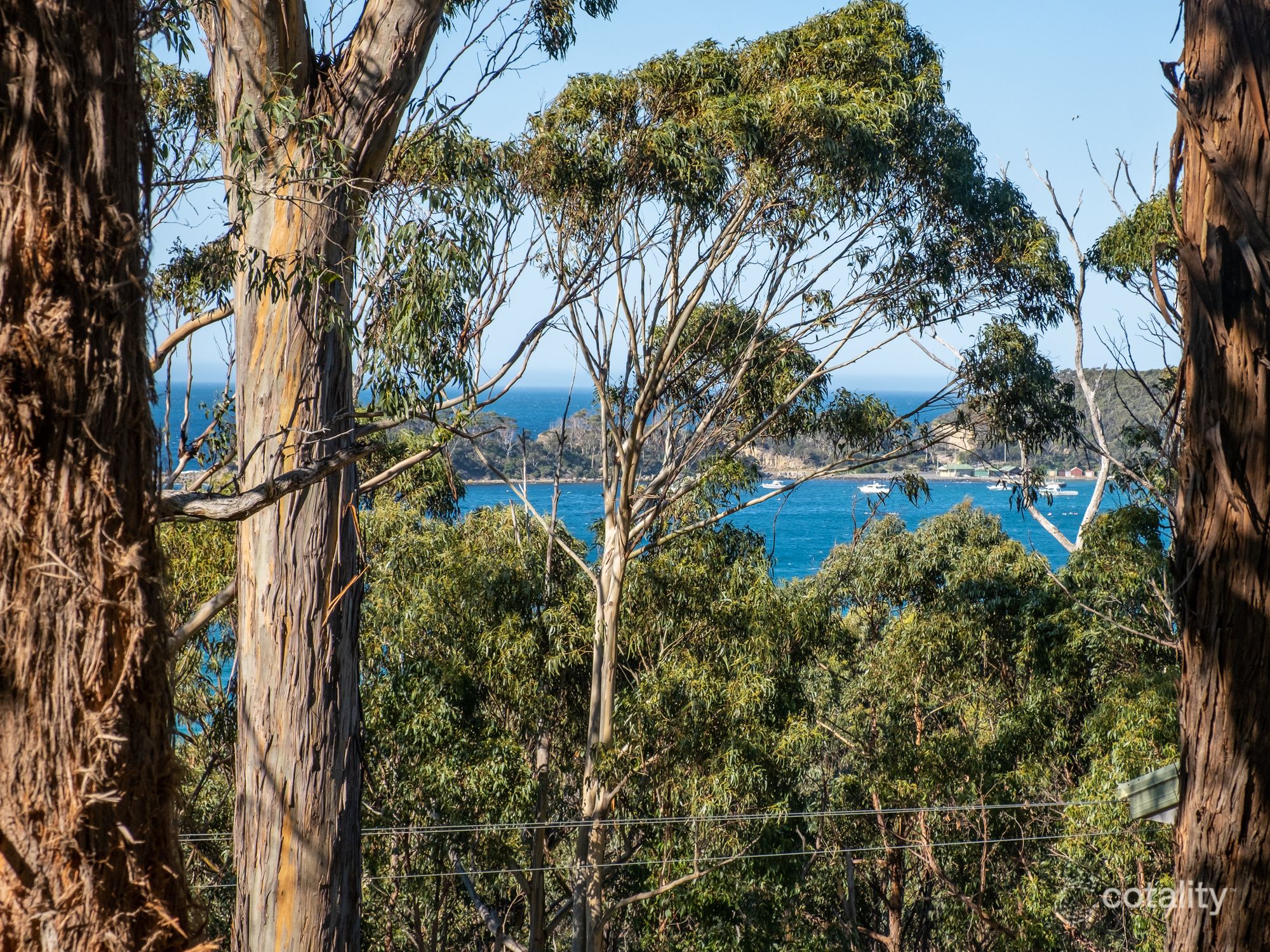 142 Blowhole Rd, Eaglehawk Neck, TAS 7179