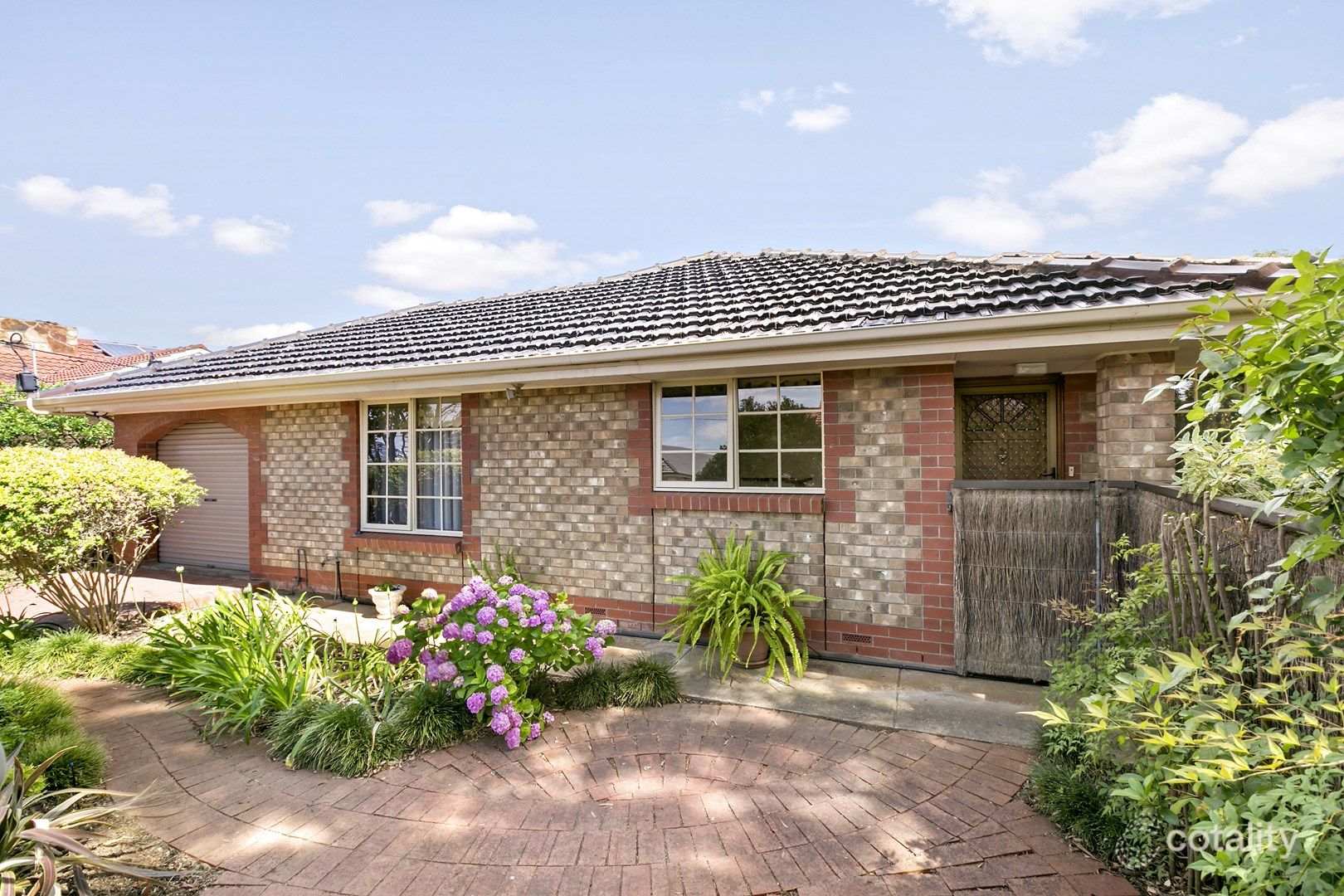 5/3 Pine Ave, Warradale, SA 5046