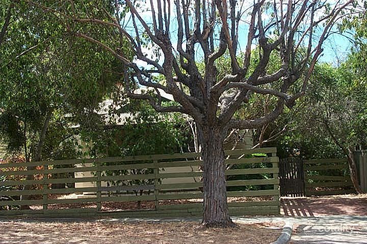 16 Morgan St, Shenton Park, WA 6008